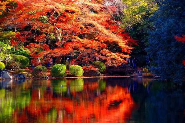 (圖:yahoo blog jp@気ままな旅スケッチ) 東京